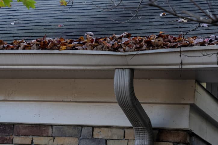 Gutter Cleaning and Roof Repair